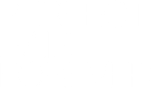 Perfect Hair Forever — Logos 2
