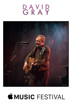 Poster David Gray - iTunes Music Festival London (2014)