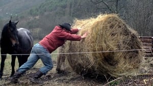 La Métaphysique du berger (2021)