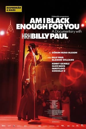 Poster Am I Black Enough for You (2009)