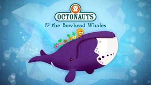 Octonauts The Bowhead Whales