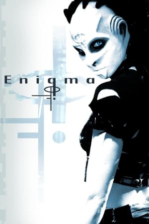 Image Enigma