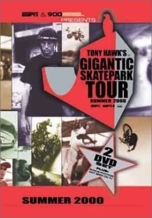 Poster Tony Hawk's Gigantic Skatepark Tour 2000 (2000)