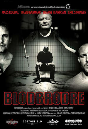 Poster Blodbrødre (2013)