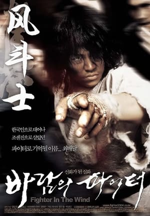 Poster 风斗士 2004