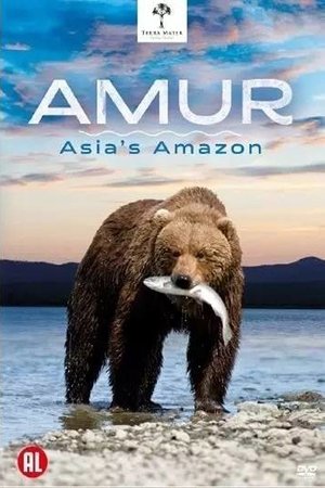 Amur Asia's Amazon (2015) Amur Asia's Amazon (2015)