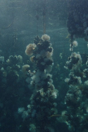 Concrete Turned to Sand (2026)