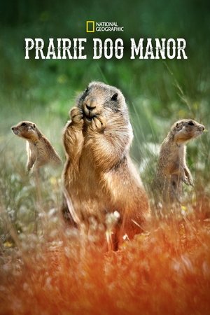 Poster Prairie Dog Manor (2019)