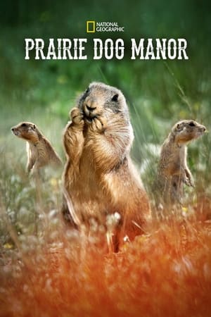 Poster Prairie Dog Manor 2019