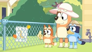 Bluey Season 1 Episode 35