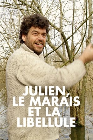 Poster Julien, le marais et la libellule (2022)