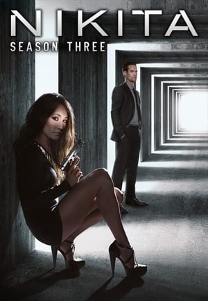 Nikita: Season 3