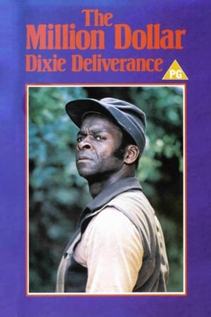 Poster The Million Dollar Dixie Deliverance (1978)