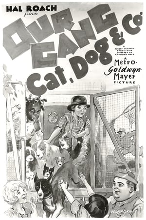 Poster Cat, Dog & Co. (1929)