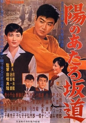 Poster 陽のあたる坂道 1958