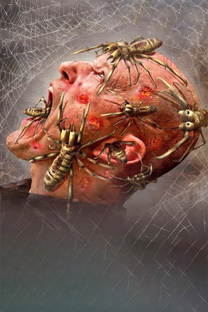 Camel Spiders 16