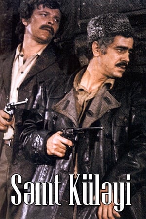 Poster Səmt Küləyi 1973