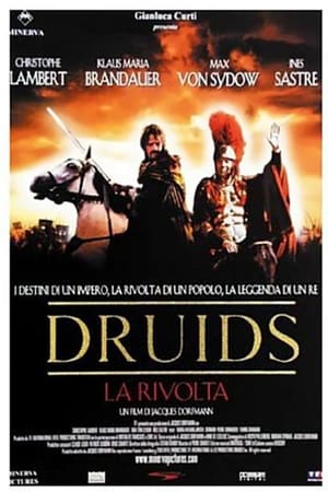 Poster Druids - La rivolta 2001