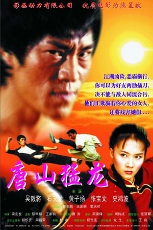 Poster Dragon the Master 2 (2002)