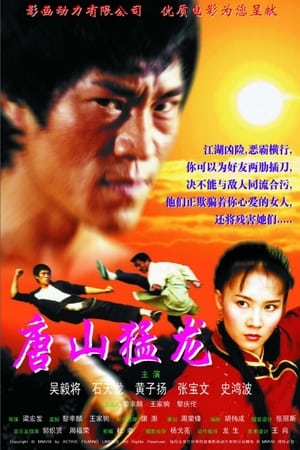 Poster Dragon the Master 2 2002