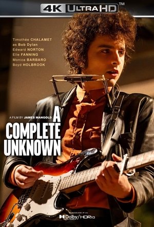 poster A Complete Unknown