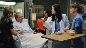 Grey’s Anatomy 7 x Episodio 14