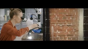 Vermeer. Blisko mistrza