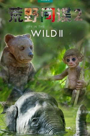 Spy in the Wild Season 2