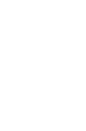 飞行家 — Logos 4