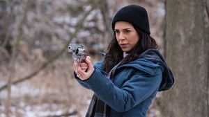 Private Eyes: 2×9