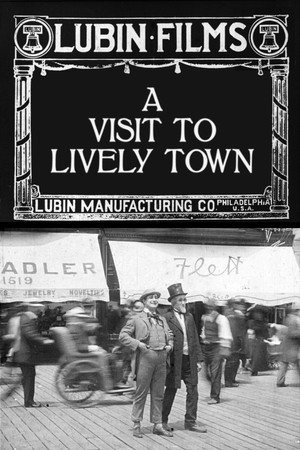 A Visit to Lively Town