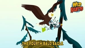 Wild Kratts The Fourth Bald Eagle