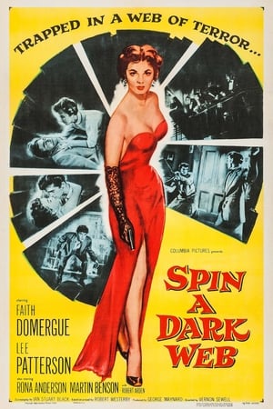 Spin a Dark Web poster