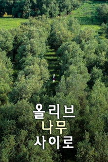 Image 올리브 나무 사이로