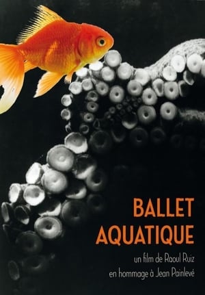 Poster Ballet aquatique 2012