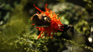 Ancestral Sacred Crossroads