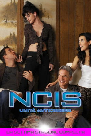 NCIS - Unità anticrimine: Stagione 7