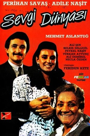 Poster Sevgi Dünyası 1987