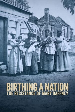 Poster Birthing a Nation: The Resistance of Mary Gaffney (2023)