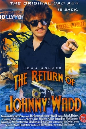 Poster The Return of Johnny Wadd 1986