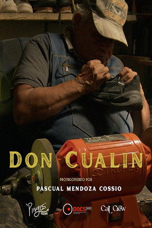 Don Cualín