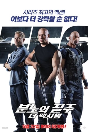 Poster 분노의 질주: 더 맥시멈 2013