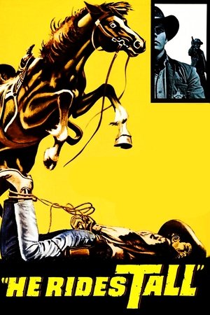 Poster He Rides Tall 1964