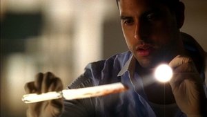CSI: Miami Temporada 5 Capitulo 21