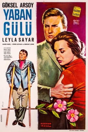 Poster Yaban Gülü (1961)