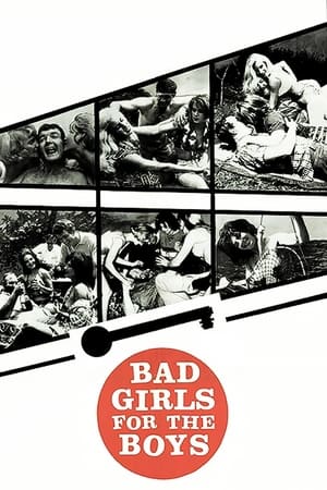 Poster Bad Girls for the Boys 1966