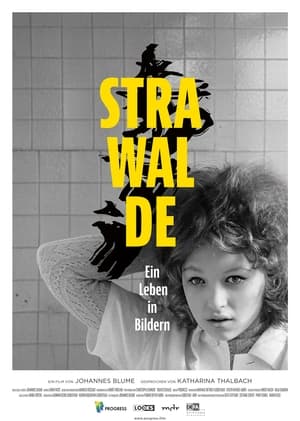 Poster Strawalde - Ein Leben in Bildern (2021)