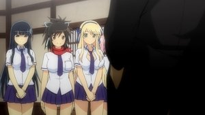 Senran Kagura: 1×1