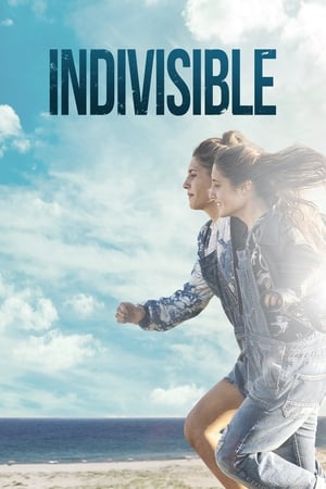 Poster Indivisible (2016)