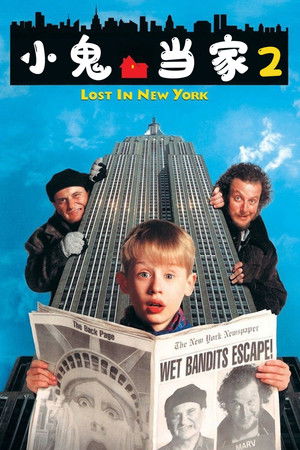 poster Home Alone 2: Lost in New York